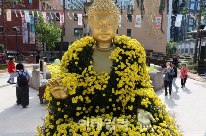 [포토]국화 두루마기 두른 부처님
