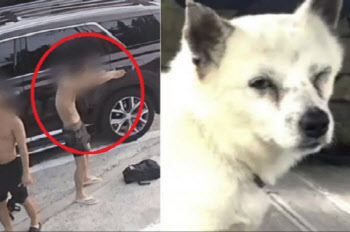 죽거나 실명했는데…‘비비탄 난사’ 해병, 분대장 임명됐다
