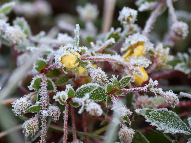 전국 ‘꽁꽁’…비 오는 곳엔 살얼음 주의보 [오늘날씨]