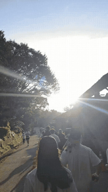 “코끼리, 코뿔소보며 달려요”에버랜드 갤럭시 워치런 가보니