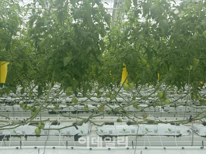 "직장인에서 연매출 1.8억 청년농으로…혁신밸리서 꿈 키웠죠"