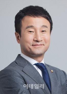 “대전 0시 축제에 지방재정+민간 기부금까지 동원”
