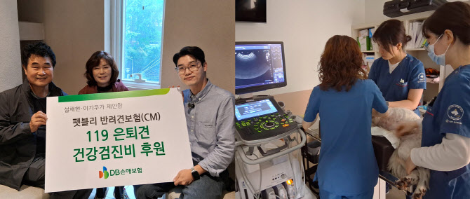 DB손보, 설채현·이기우와 119은퇴견 건강검진비 후원