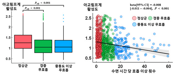치매 유발하는 수면무호흡증, ‘뇌 노폐물 배출 저하’가 핵심 경로