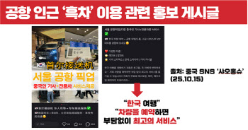"무비자 입국, 내수 살린다더니…중국 불법 콜이 싹쓸이"