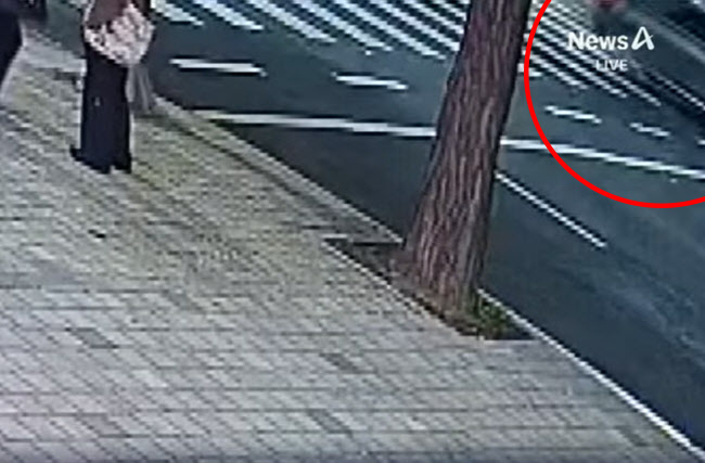 초록불에 건넜는데…캐나다인, 강남 한복판 '만취 질주'에 사망
