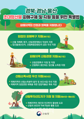 산불로 삶의 터전 잃은 주민들, 국가가 보듬는다
