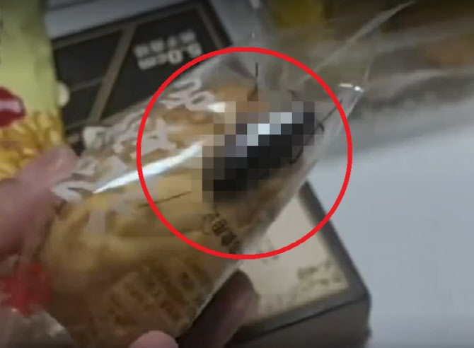 투명 빵 포장지 안 바퀴벌레 ‘꿈틀’…中서 최악 위생 논란