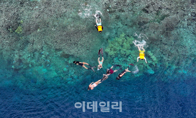 [포토]바다거북이의 천국 인도네시아 마나도에서 다이빙을