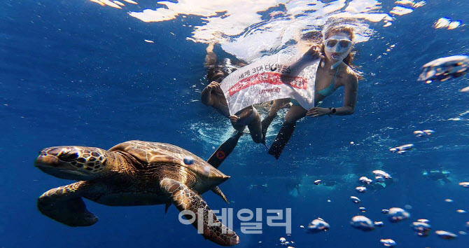 [포토]거북이와 함께하는 세계3대 다이빙 성지 마나도
