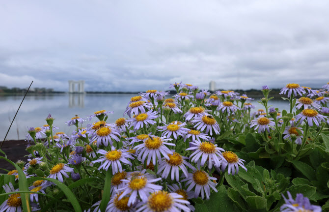 한낮 기온 20도까지 올라…밤부터 전국 곳곳에 약한 비[내일날씨]
