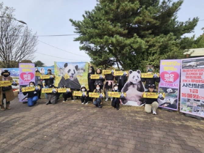 시진핑 경주 온 날 "푸바오 돌려달라" 외친 동물단체