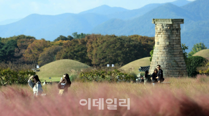 [포토]'가을빛 경주'