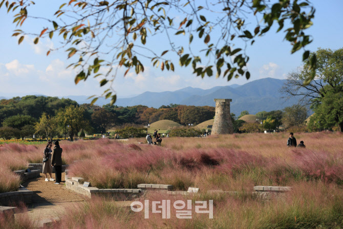 [포토]'경주의 가을'