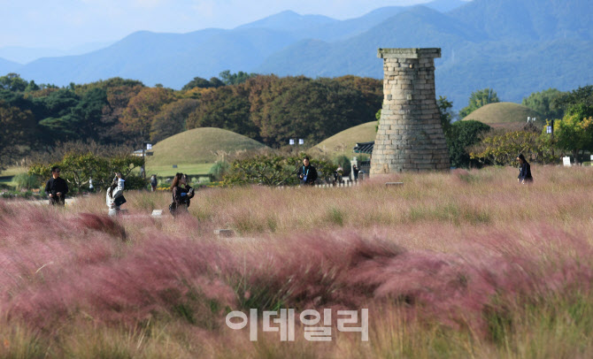 [포토]'경주는 지금 가을'