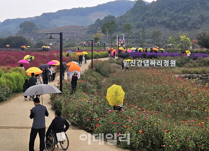 연천 댑싸리정원 21만명↑ 찾아…수도권 대표 관광지 '자리매김'