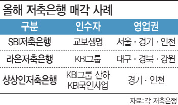 “저축銀 M&A 수도권 집중…지방 숨통 터줄 제도개선 필요”