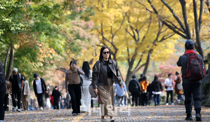 [포토]남산의 가을