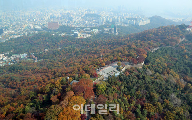 [포토]가을 옷 입는 남산