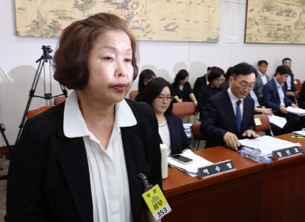 댓글부대 ‘자손군’ 운영 손효숙 리박스쿨 대표, 구속 기로에
