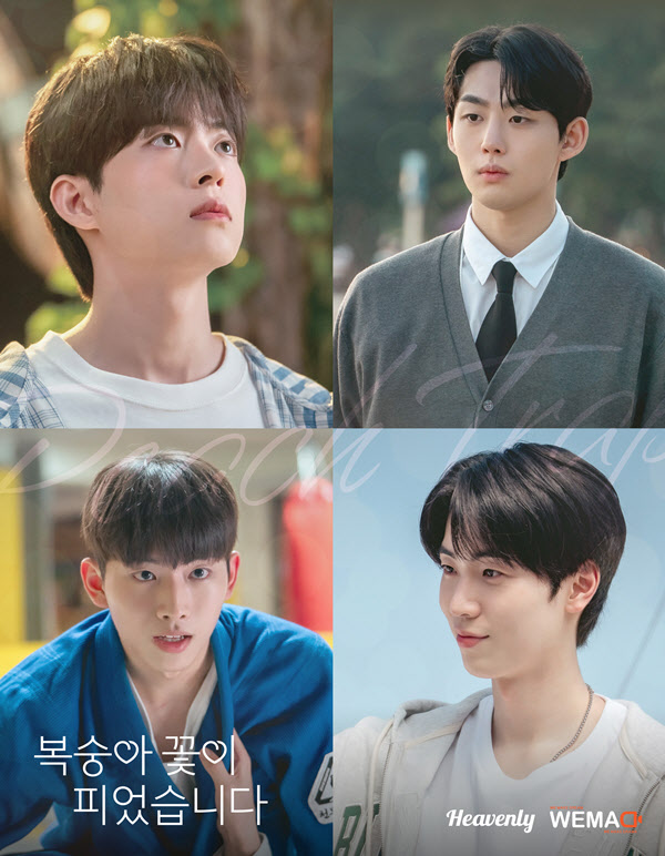 BL 플랫폼 헤븐리, 첫 오리지널 '복숭아 꽃이 피었습니다' 글로벌 인기