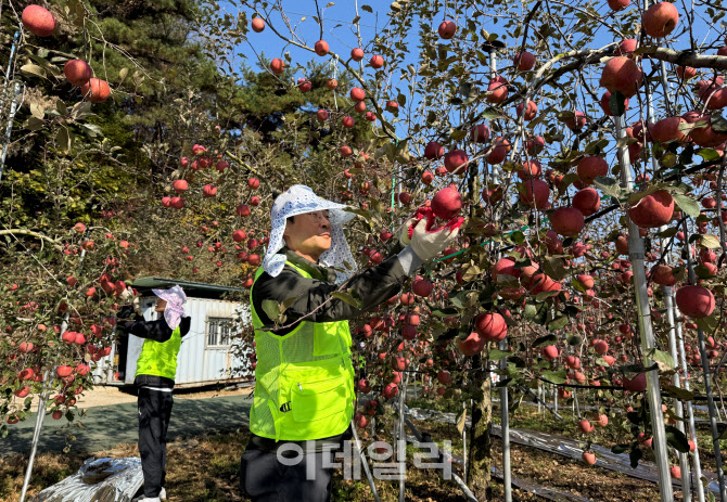 [포토] 축사물도매분사, 농촌 일손돕기