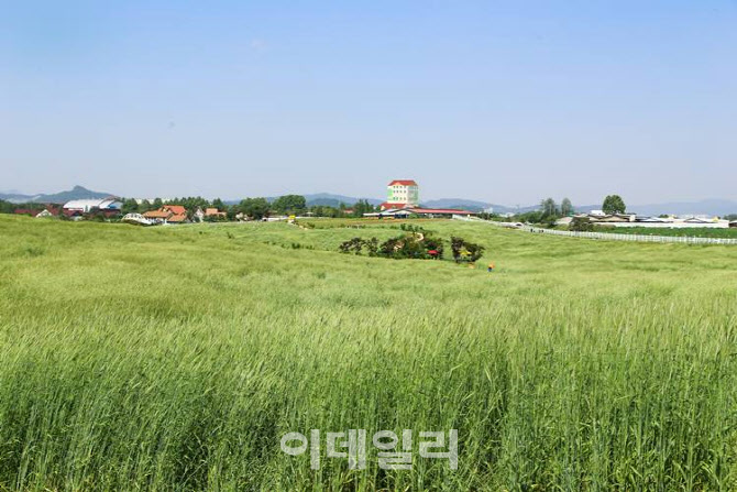 [포토] 동계작물 목초 등 사료작물 종자 추가 공급
