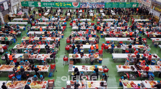 [포토] 평창 고랭지 김장축제