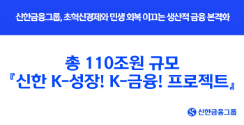 "첨단산업·소상공인에 집중"…국민·신한, 220조 투입한다