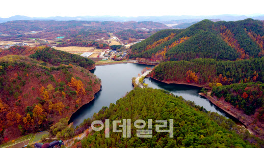 빨간 단풍 익어가는 속리산 말티재 숲.."지역경제도 살어리랏다"