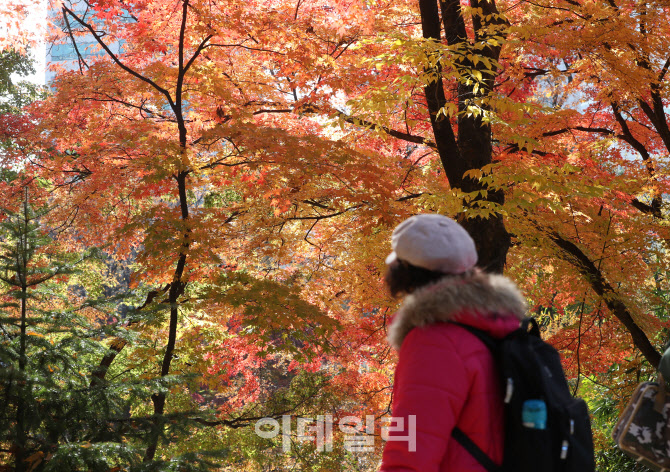 [포토] 늦가을 즐기는 시민