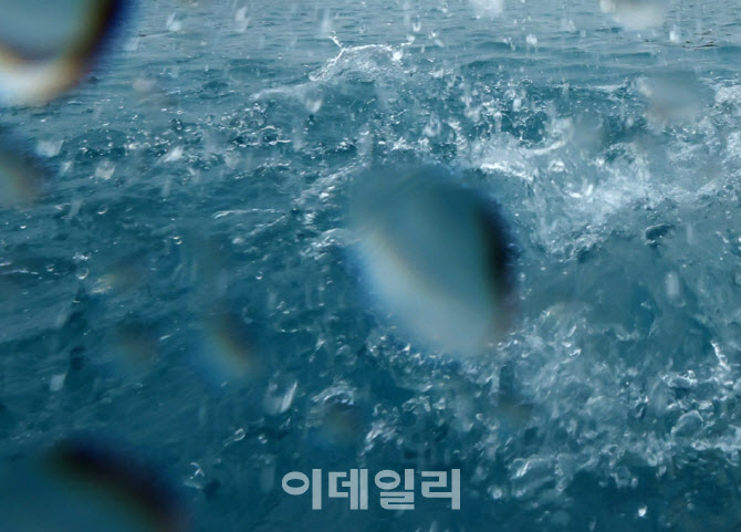 선박 좌초됐는데…방관해 3명 숨지게 한 선장 징역 2년