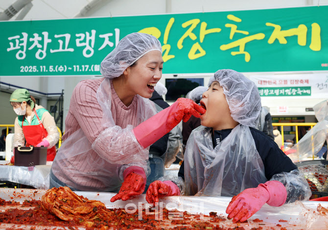 [포토] 평창고랭지 김장축제