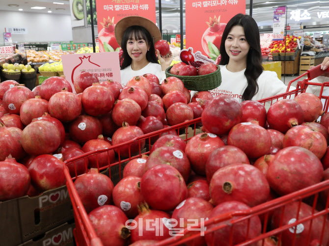 [포토] '석류' 출시