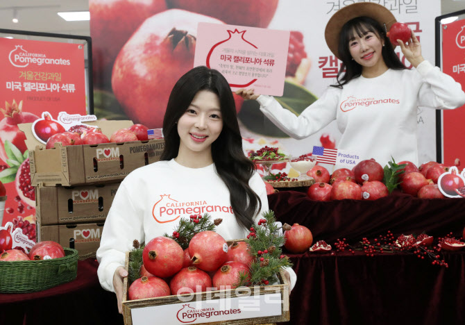[포토] 겨울과일 '석류' 출시