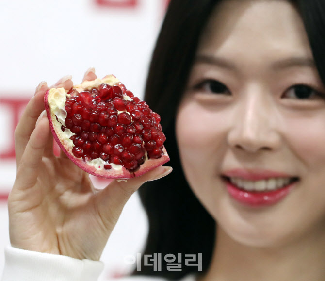 [포토] 캘리포니아 '석류' 출시
