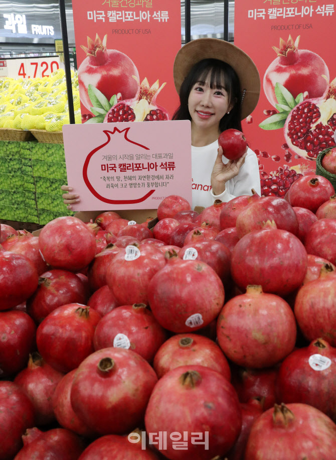 [포토] 미국 캘리포니아 석류 출시