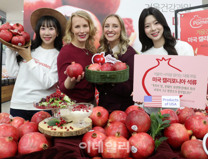 [포토] 에스트로겐, 폴리페놀 풍부한 석류