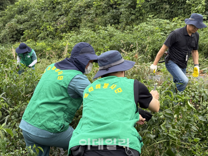 [포토] 농협, 보라미봉사단 영농인력 활용