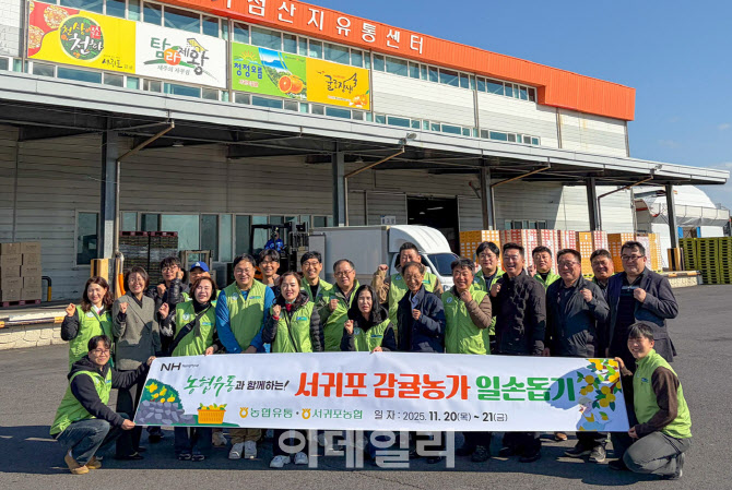 [포토] 농협유통 임직원, 제주도 감귤 농가 일손돕기
