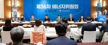 전력망 난제 해법 꼽히는 분산에너지…기업 이전 유도는 ‘난망’