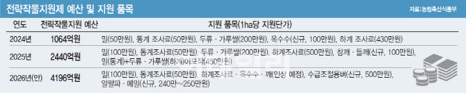 쌀 줄일 전략작물 예산 72% 늘었지만…쌀값 급등에 유인효과 '글쎄'