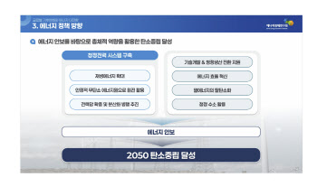 김현제 에너지경제연구원장 “재생E 확대-원전 활용 필요”