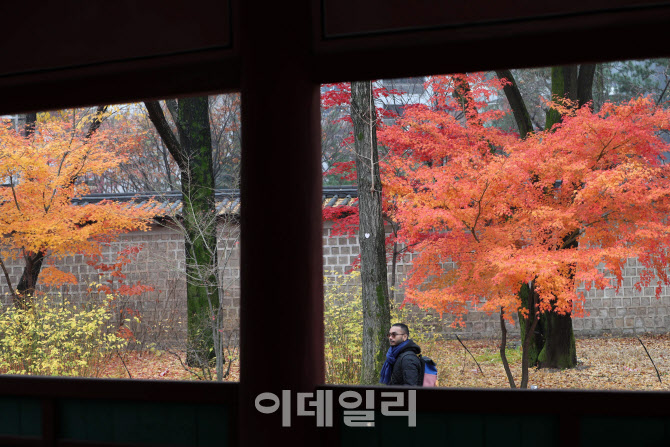 [포토] 덕수궁의 가을