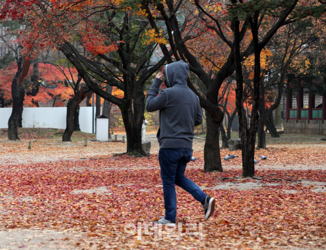 [포토] 늦가을