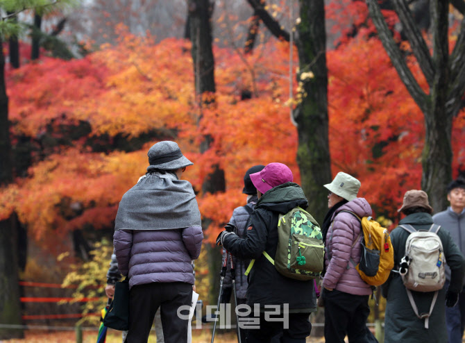 [포토] 만추