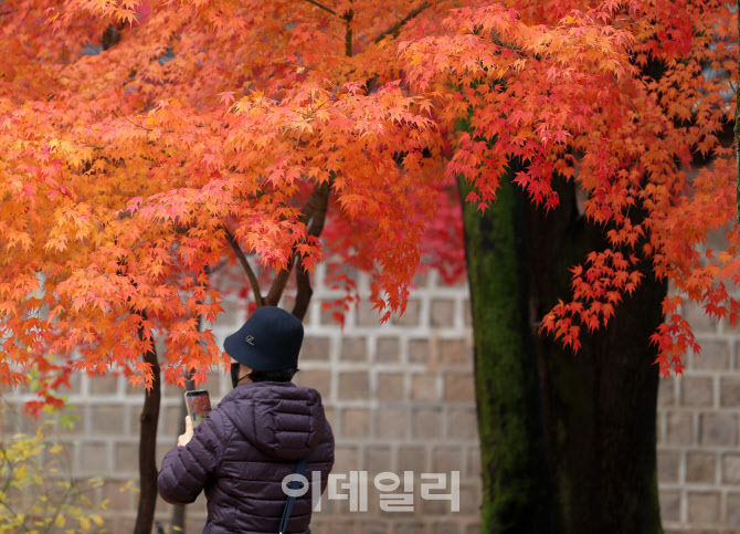 [포토] 가는 가을이 아쉬워~