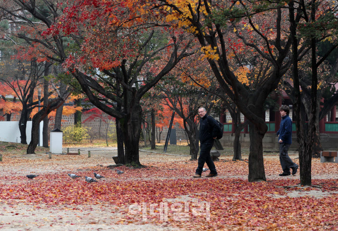 [포토] 한국의 가을