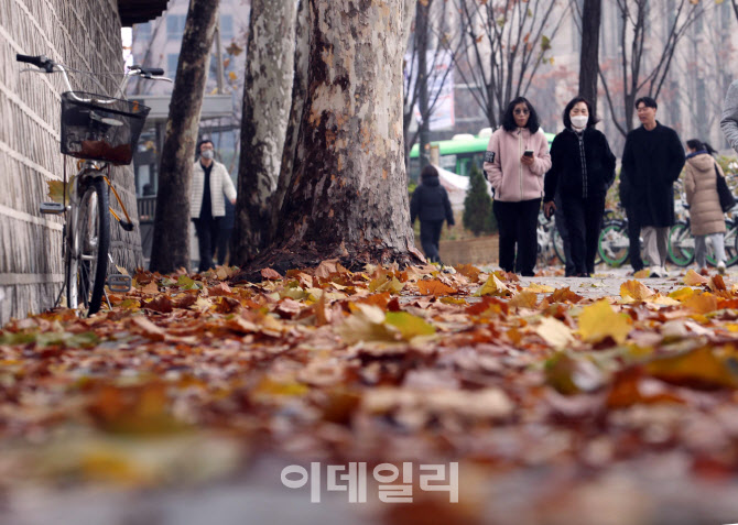 [포토] 낙엽 속 산책