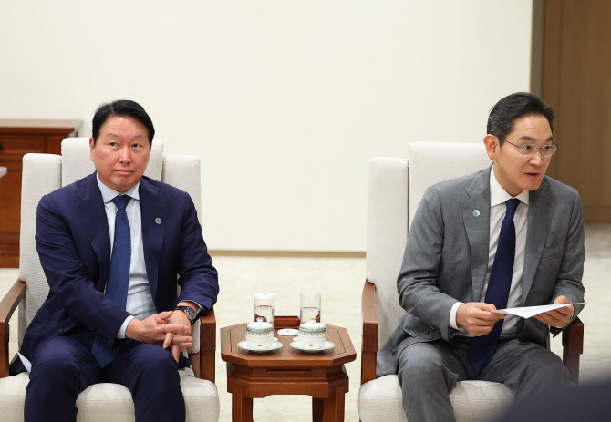 '대기업 특혜' 발목에…첨단산업 골든타임 놓친다[기자수첩]